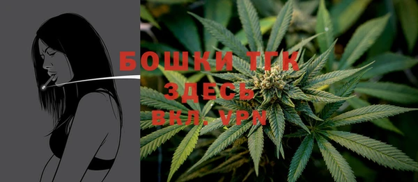 ПСИЛОЦИБИНОВЫЕ ГРИБЫ Дубна