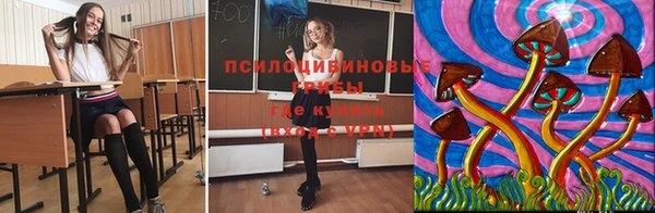 гидропоника Протвино