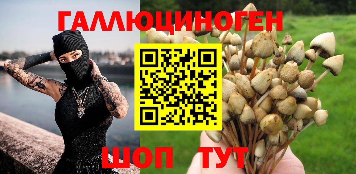 магазин продажи наркотиков  Киров  Галлюциногенные грибы Psilocybe 